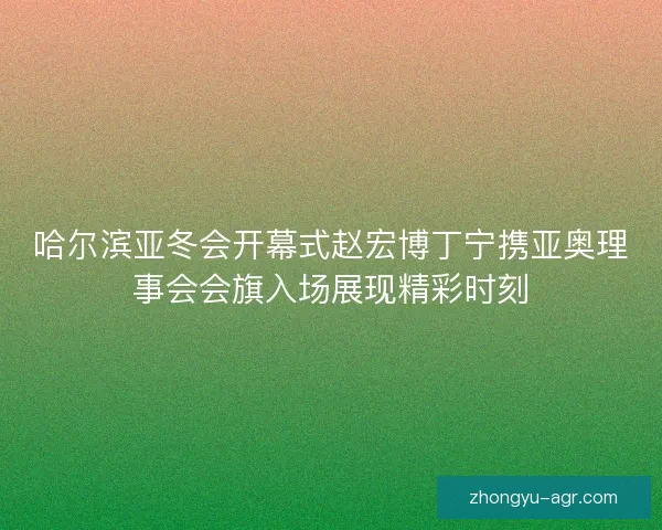 哈尔滨亚冬会开幕式赵宏博丁宁携亚奥理事会会旗入场展现精彩时刻