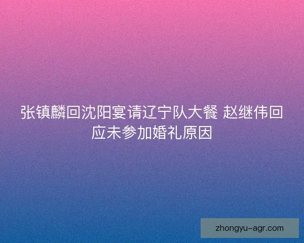张镇麟回沈阳宴请辽宁队大餐 赵继伟回应未参加婚礼原因